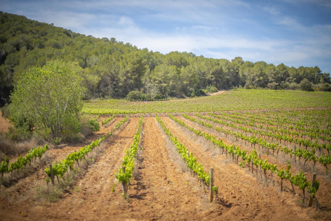 Catalunya Casas Tranquil Nature "Feel" , Yet Only 4 Min To Beach! กาลาเฟลล์ ภายนอก รูปภาพ